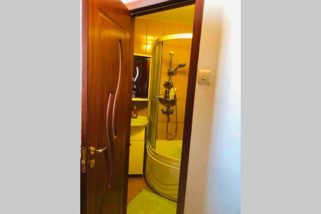SUPER CENTRAL - Lovely one-bedroom apartment on Victoriei Avenue Boekarest Buitenkant foto