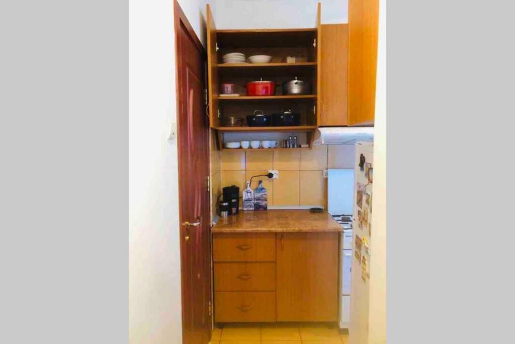 SUPER CENTRAL - Lovely one-bedroom apartment on Victoriei Avenue Boekarest Buitenkant foto
