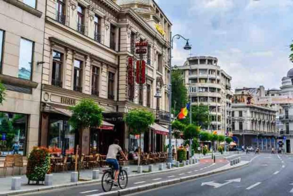 SUPER CENTRAL - Lovely one-bedroom apartment on Victoriei Avenue Boekarest Buitenkant foto